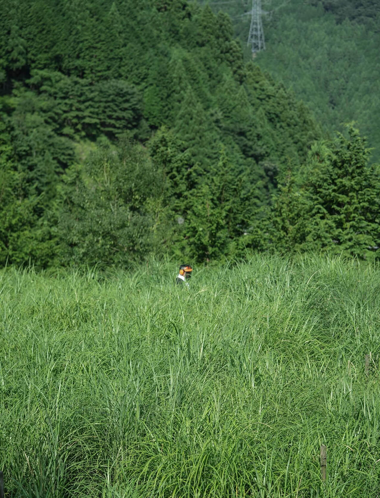 循環型小規模農業