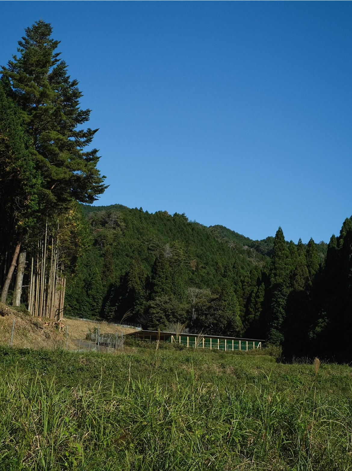 点が繋がる社会へ