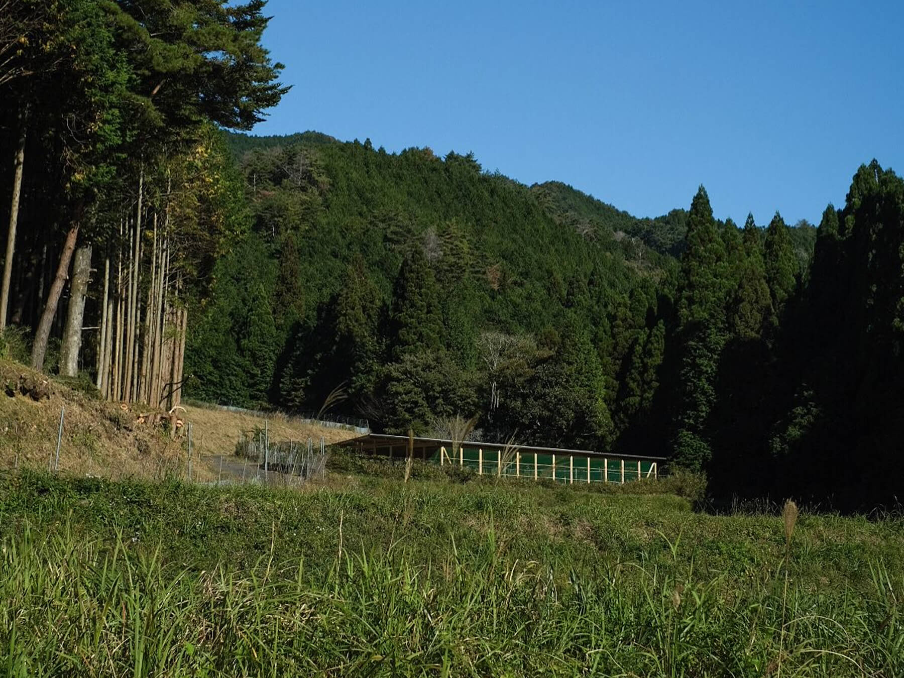 点が繋がる社会へ