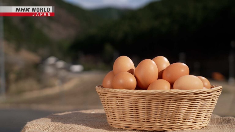 We are pleased to announce that Tentenhiranogaiyokei's free-range chicken farming initiative will be featured on NHK WORLD's program, "Trails to Oishii Tokyo."