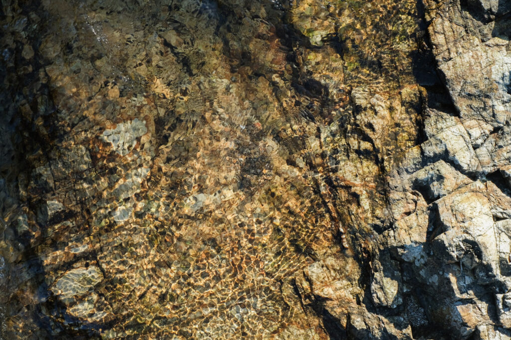 知社川の源流水