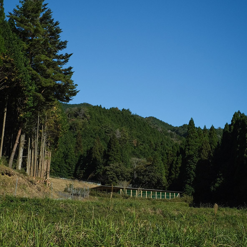 水田からみる鶏舎