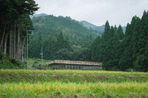 田んぼからみた鶏舎の写真