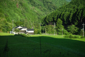 8月の風景